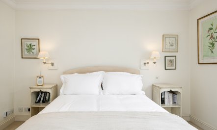 Kensington Rose 5