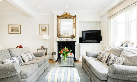 Kensington Rose 1