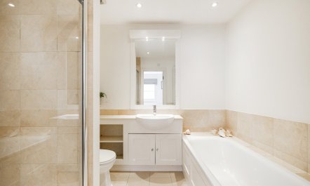 Kensington Rose 7