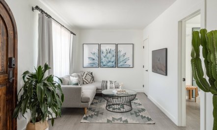 Balboa Oasis 1