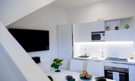 Sunshine Through My Window 3