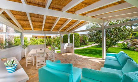 Sunshine Through My Window 1