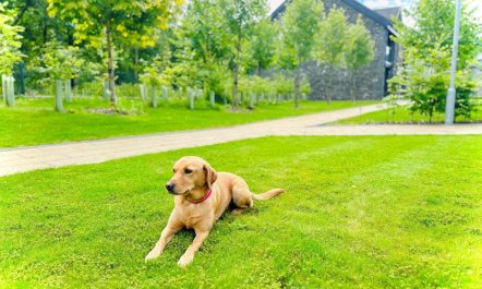 1 Bed in Ulverston 6