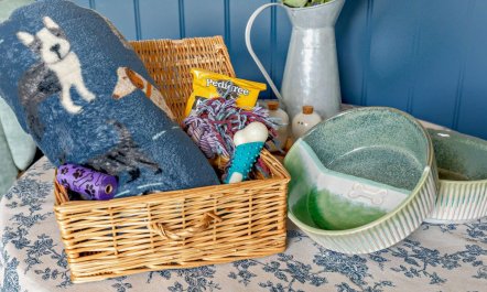 1 Bed in Cheltenham 8