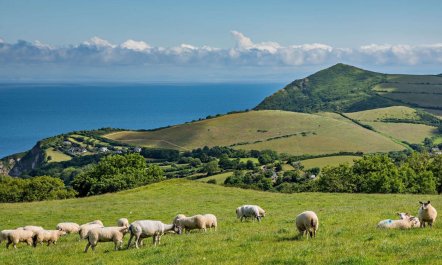 1 Bed in Ilfracombe 1