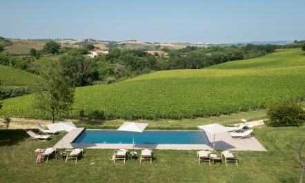 In The Abruzzo Bloom