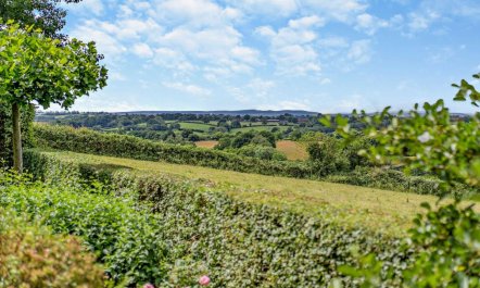 1 Bed in Ashburnham 4