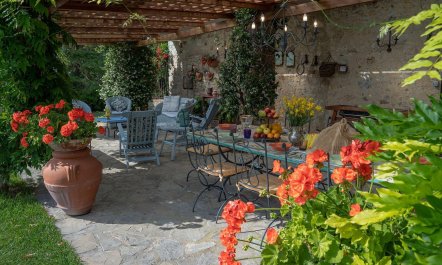Dreaming of Chianti 3