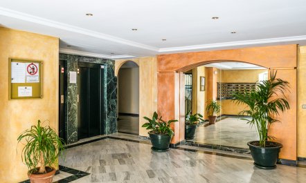 We're Golden 6