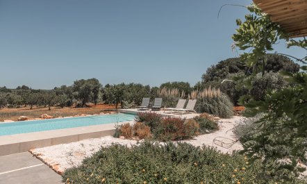 Trullo Dream 7