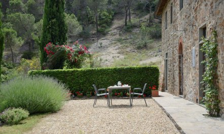Vines & Lavender 9