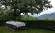 Vines & Lavender 8