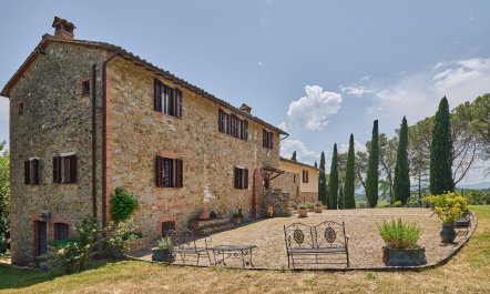 Perugian Prince 1
