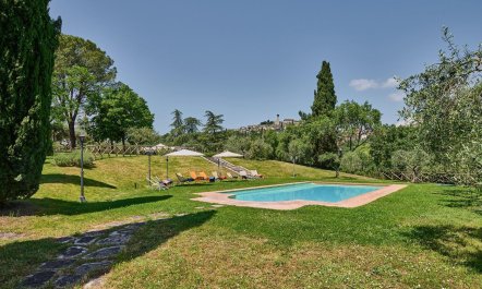 Perugian Prince 5