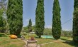Perugian Prince 7