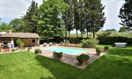 Tuscan Roots 6