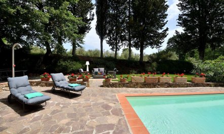 Tuscan Roots 2