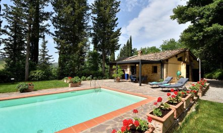 Tuscan Roots 5