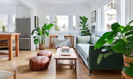 Mill Valley Marvel