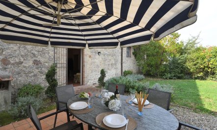 A Toast to the Tuscan Sun