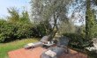 A Toast to the Tuscan Sun 5
