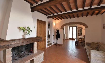 Tuscan Orgins 7