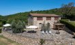 Tuscan Orgins 0
