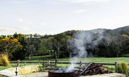 Farm Life 2