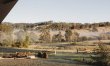 Farm Life 1