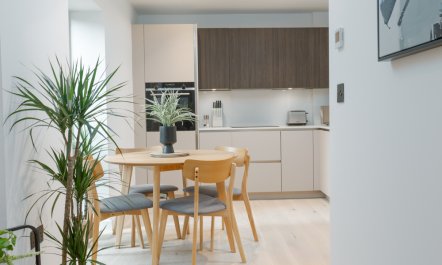 The New Victorian 1