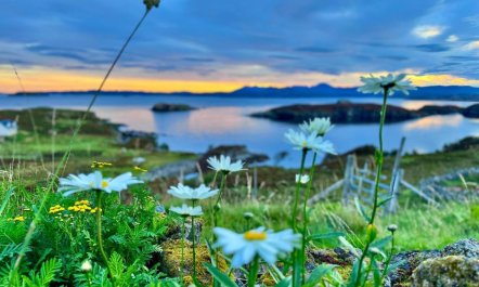 2 Bed in Lairg 3