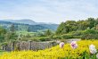 2 Bed in Hawkshead 3