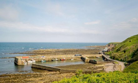 3 Bed in Burnmouth 1
