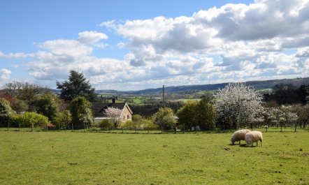 2 Bed in Tenbury Wells