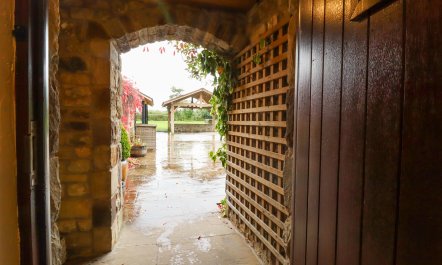 Roe Deer Country Retreat 2