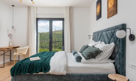 Mountain View Delight 7