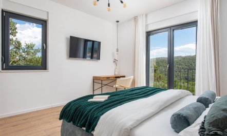 Mountain View Delight 8