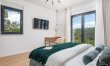Mountain View Delight 8