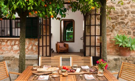 The Citrus House 3
