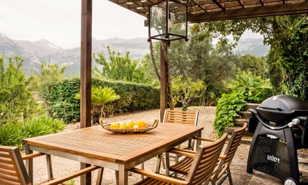 The Citrus House 2