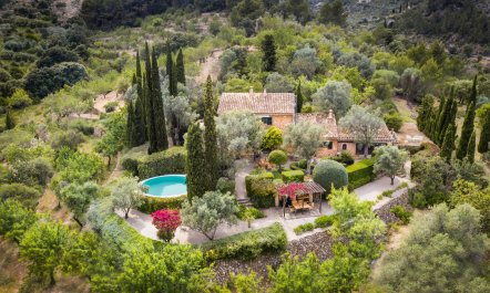 The Citrus House