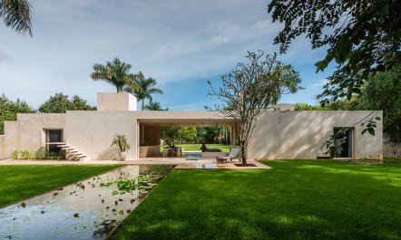 Mayan Dream