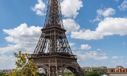 Eiffel's Elegance 4