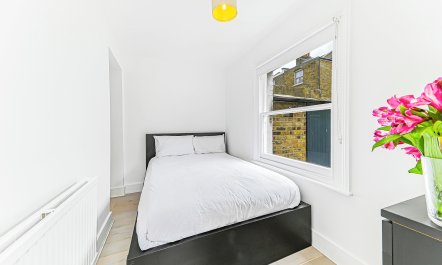 Regal Delight 8