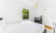 Regal Delight 9