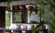 A Balinese Beauty 3
