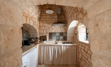 Olives & Countryside 2