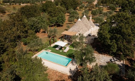 Olives & Countryside 3