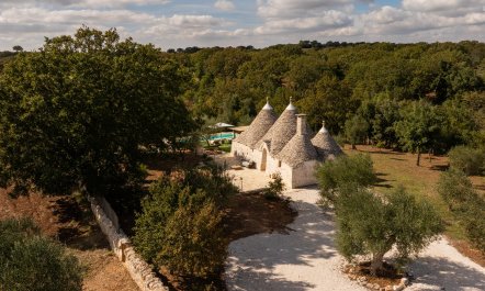 Olives & Countryside 6