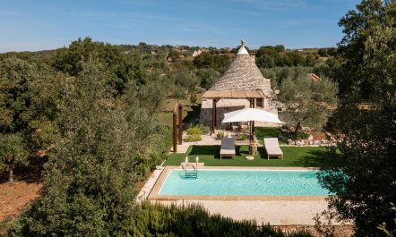 Olives & Countryside